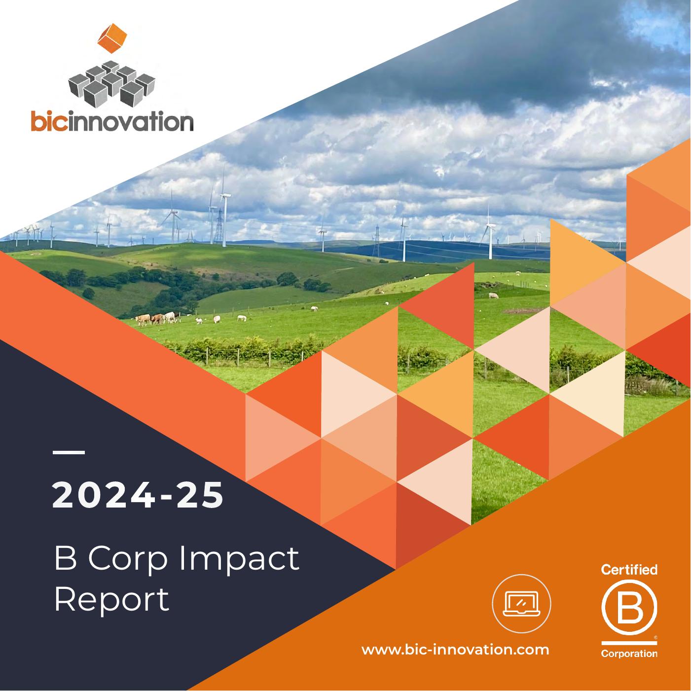 BIC Innovation - B Corp Impact Report | PDF to Flipbook