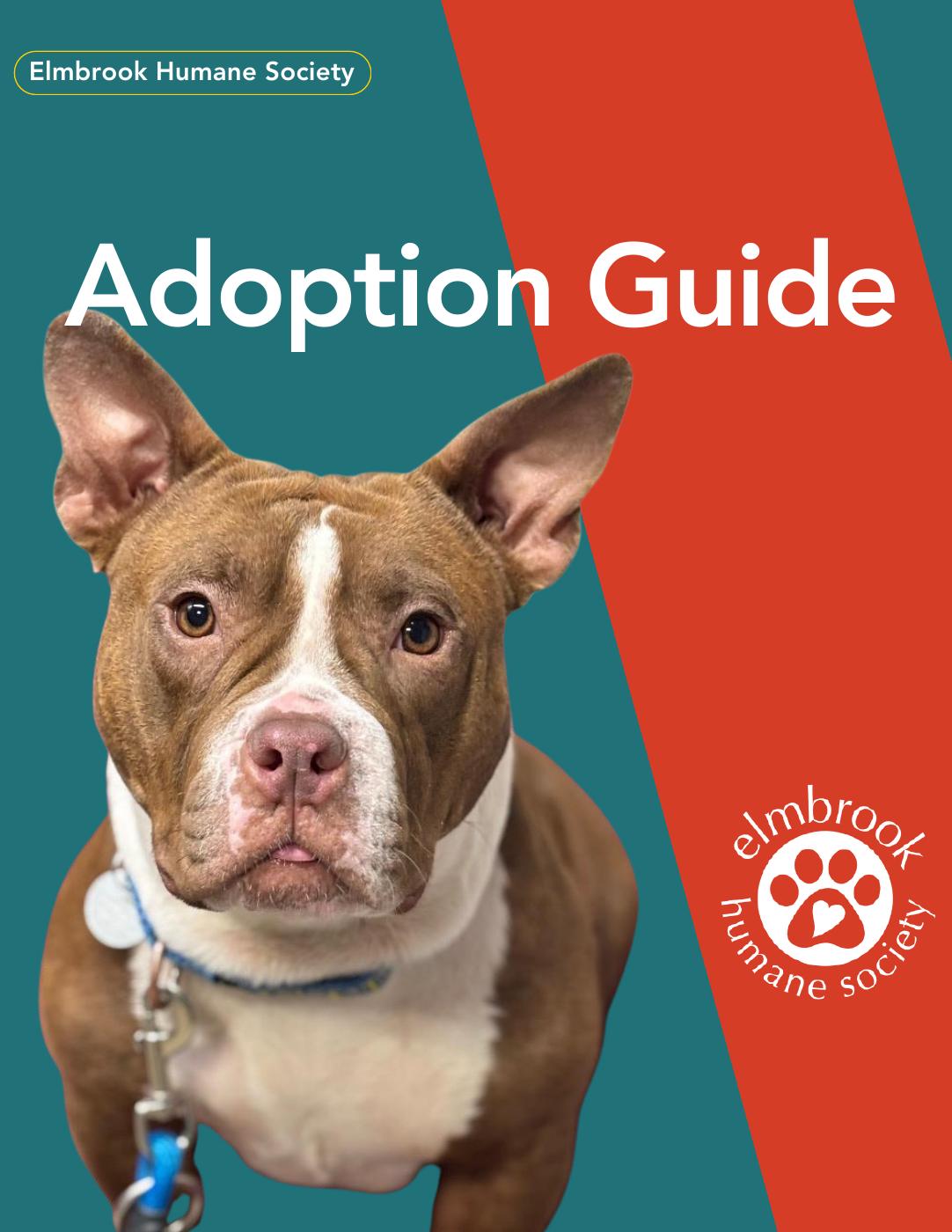 Dog Adoption Guide | PDF to Flipbook
